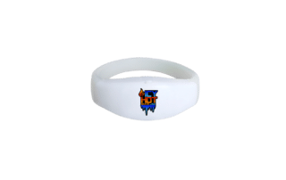 LED Bracelets Landing Page 5 Logo branding display
