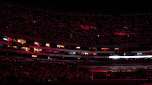 Remote controlled LED wristband for concert Remote controlled LED wristband for concert